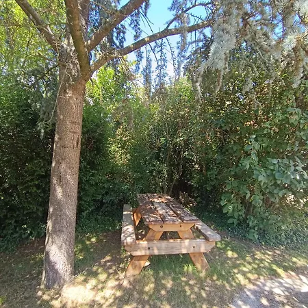Blanche 37 * Belle-et-Houllefort